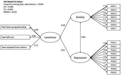 A man-made divide: Investigating the effect of urban–rural household registration and subjective social status on mental health mediated by loneliness among a large sample of university students in China